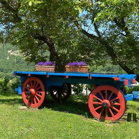 Agriturismo Popolano Di Sotto Marradi Ngoại thất bức ảnh