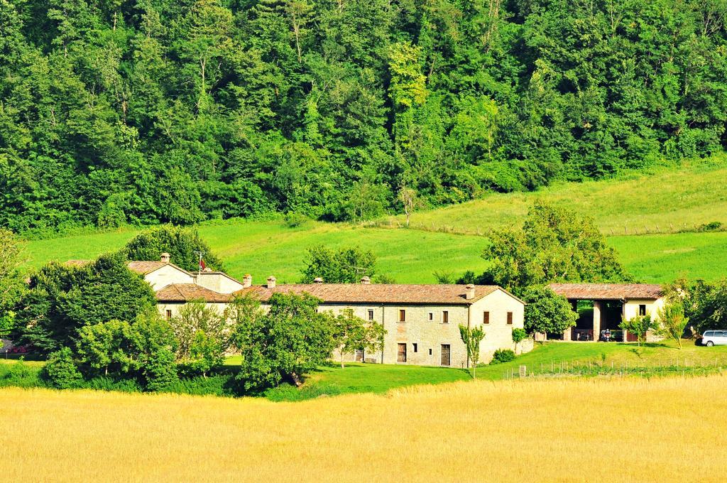 Agriturismo Popolano Di Sotto Marradi Ngoại thất bức ảnh
