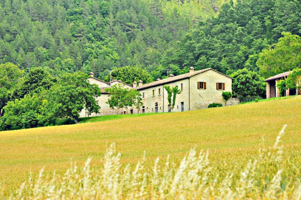 Agriturismo Popolano Di Sotto Marradi Ngoại thất bức ảnh