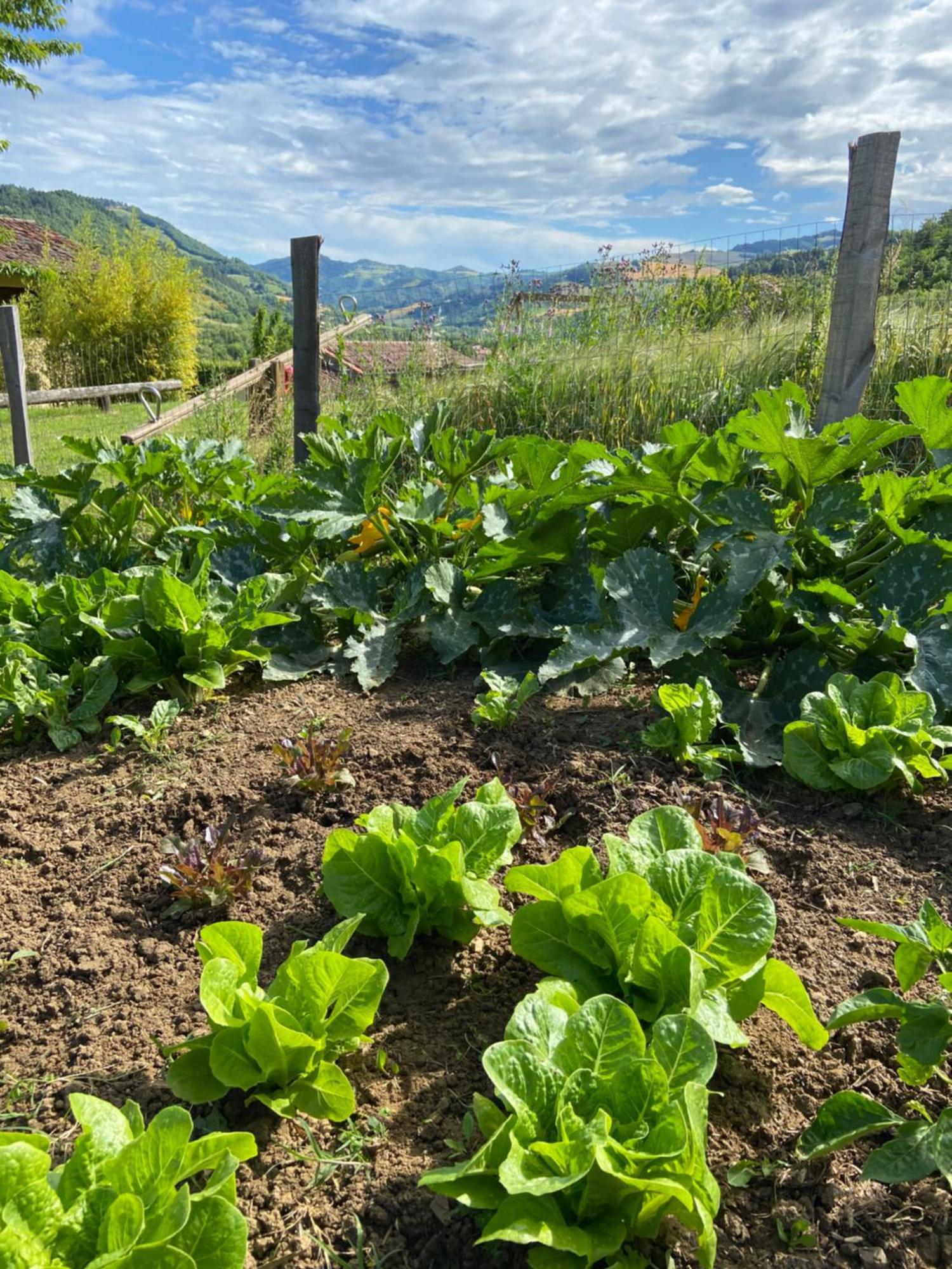 Agriturismo Popolano Di Sotto Marradi Ngoại thất bức ảnh