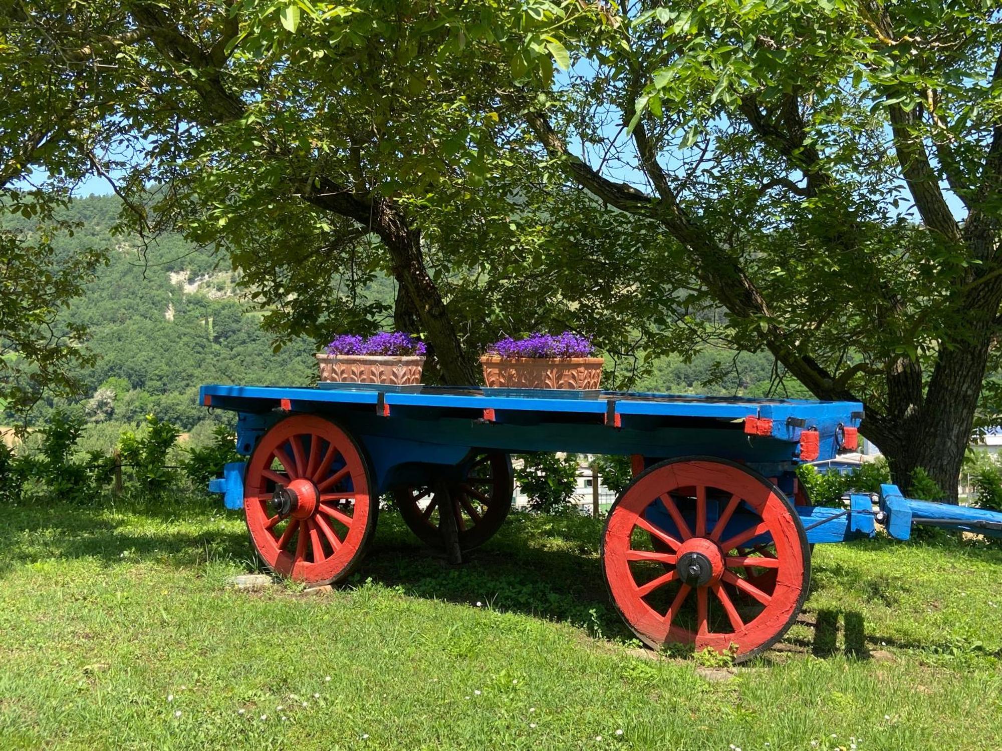 Agriturismo Popolano Di Sotto Marradi Ngoại thất bức ảnh
