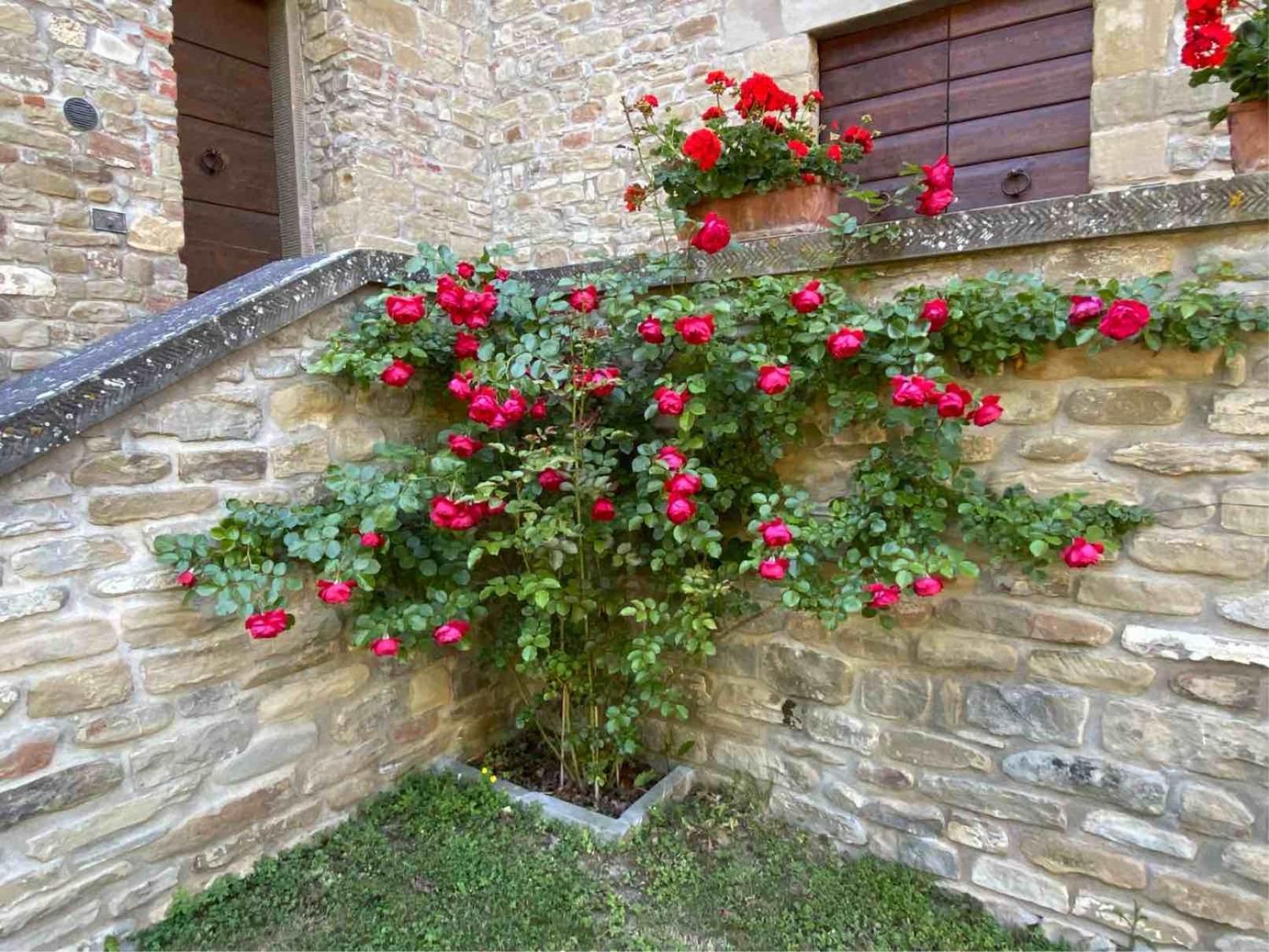 Agriturismo Popolano Di Sotto Marradi Ngoại thất bức ảnh