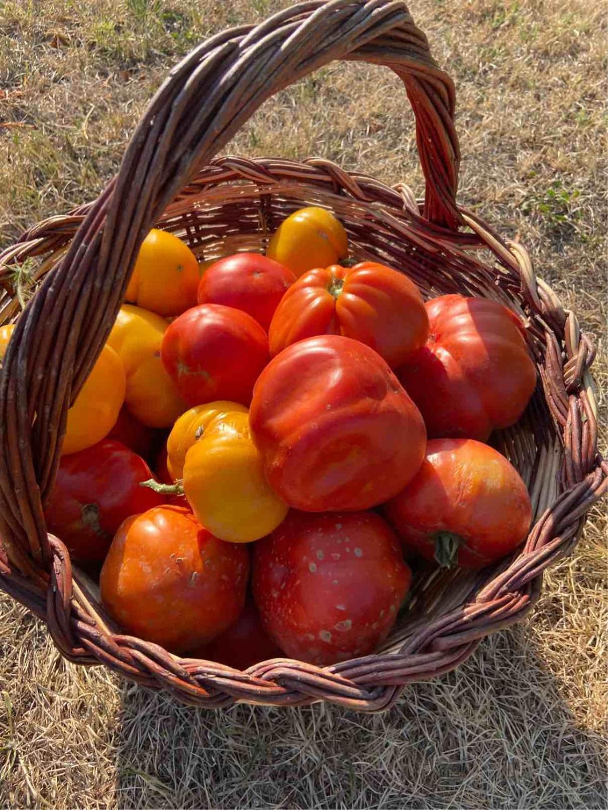 Agriturismo Popolano Di Sotto Marradi Ngoại thất bức ảnh